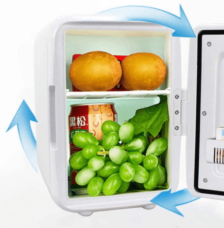 Best Portable 2-in-1 Mini Fridge