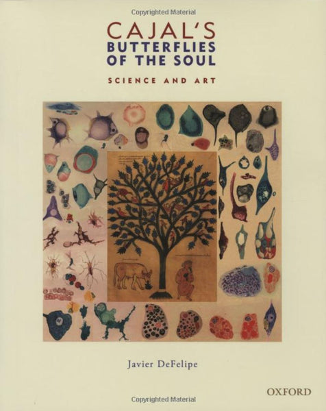 butterflies of the soul neuroscientist gift book