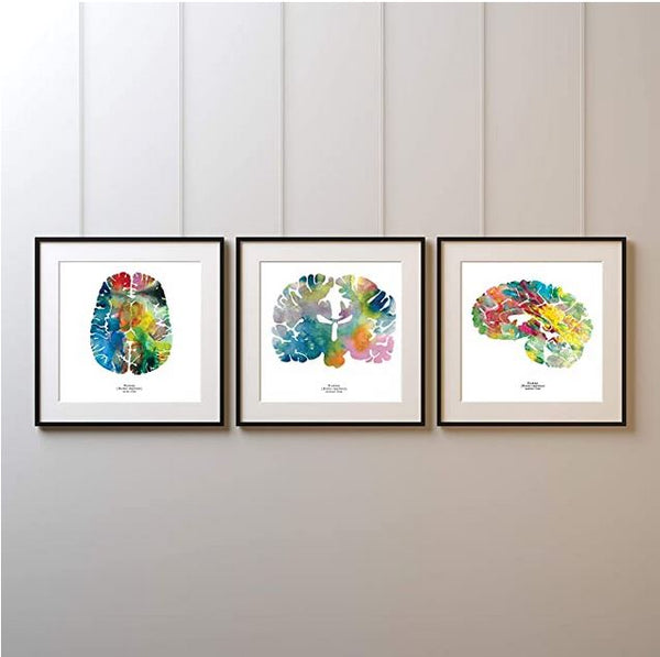 neuroscience artwork prints of the human brain