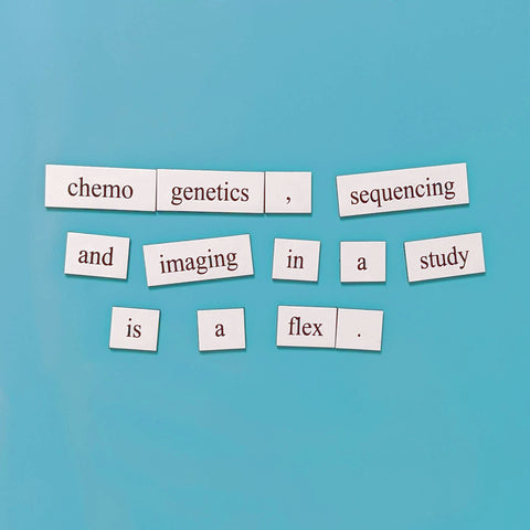 neuroscientist word magnet set