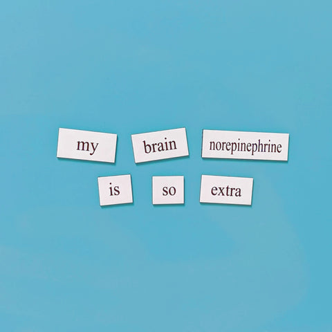 neuroscience word magnets set