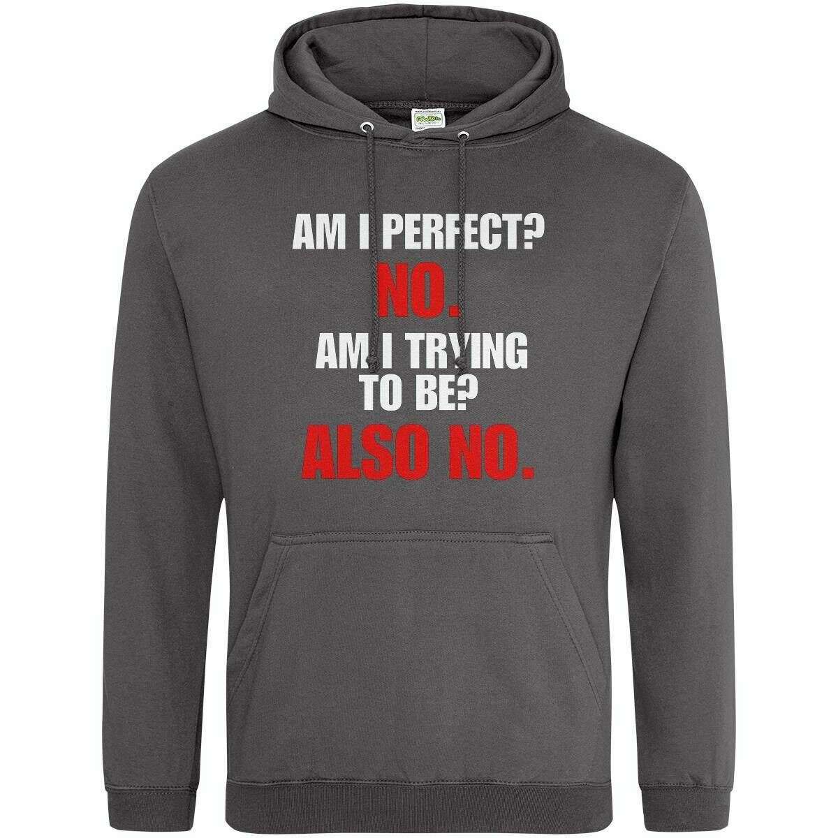 Teemarkable! Am I Perfect Hoodie