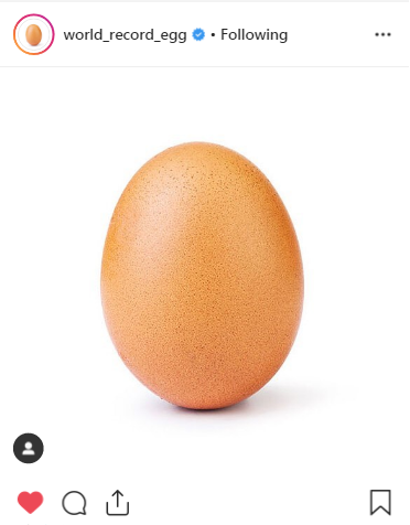 world_record_egg