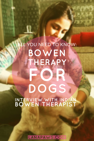 Indian canine bowen therapist - Nisha Jaggi