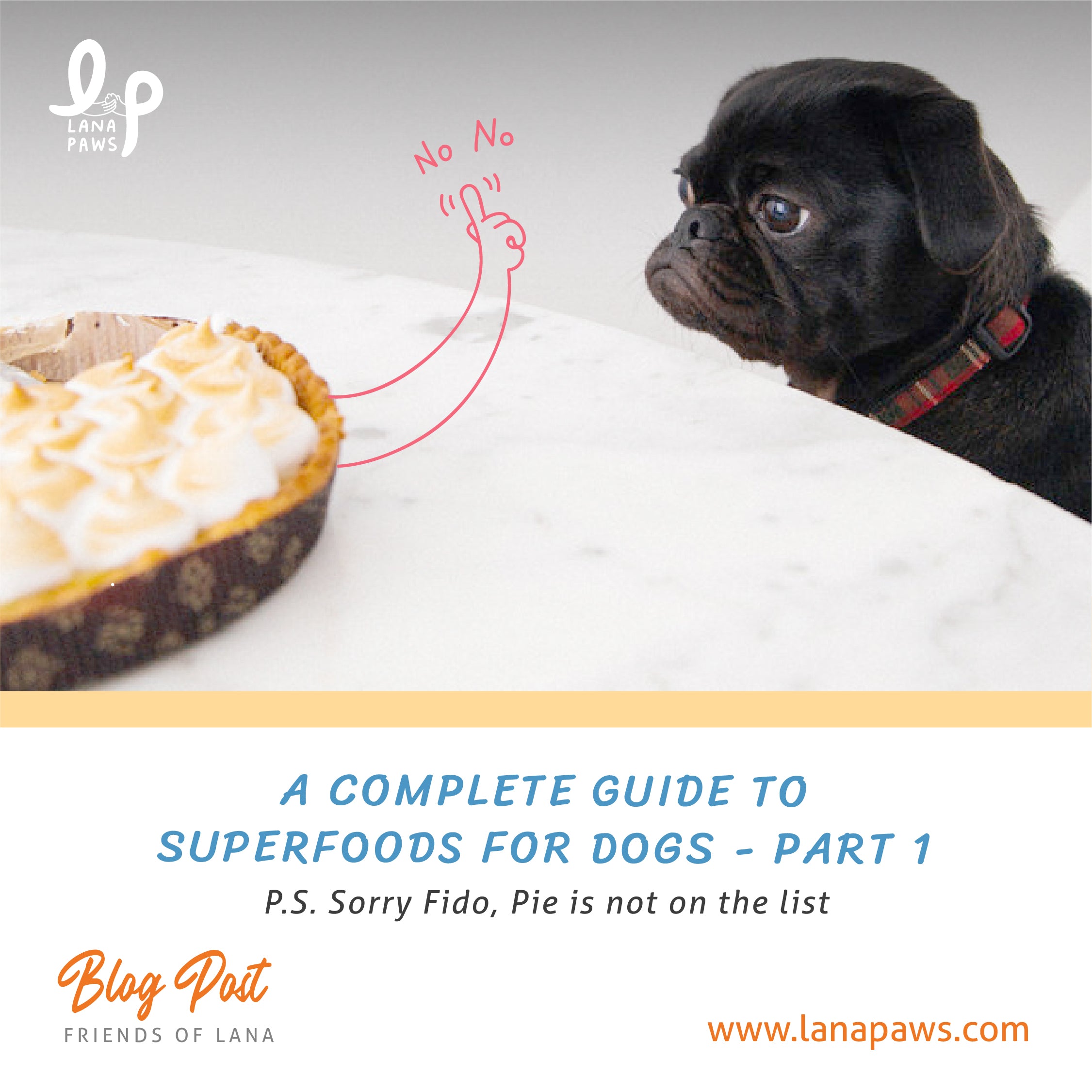Lana Paws blog post on superfoods for dogs