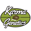 Karma Genetics Small Logo