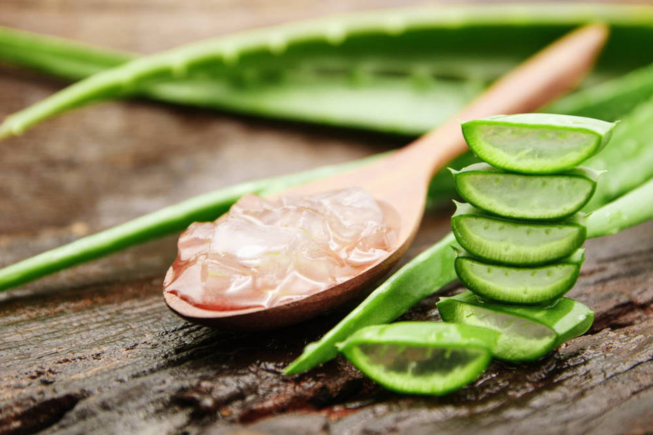 10 Health Benefits Of Aloe Vera The Miracle Plant 