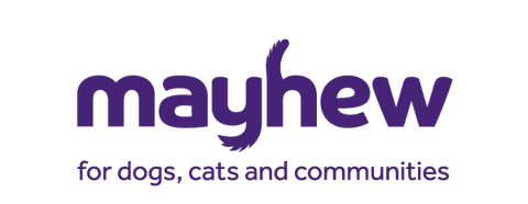 The Mayhew logo named charity Galago Joe
