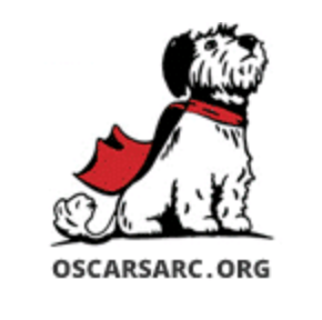Oscars Arc logo named charity Galago Joe