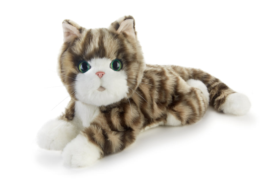 stuffed animal with heartbeat for kittens