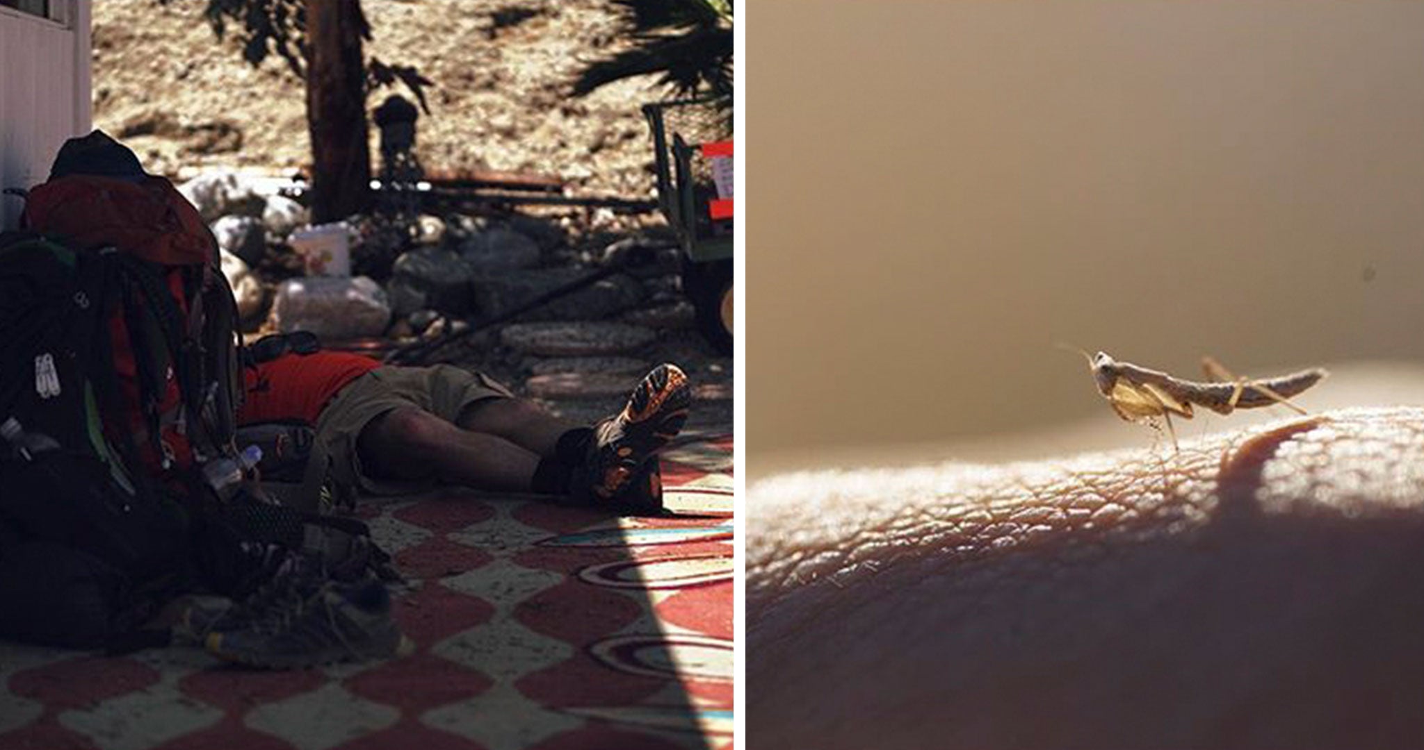 Sleeping ultralight backpacker and close-up of an insect on skin