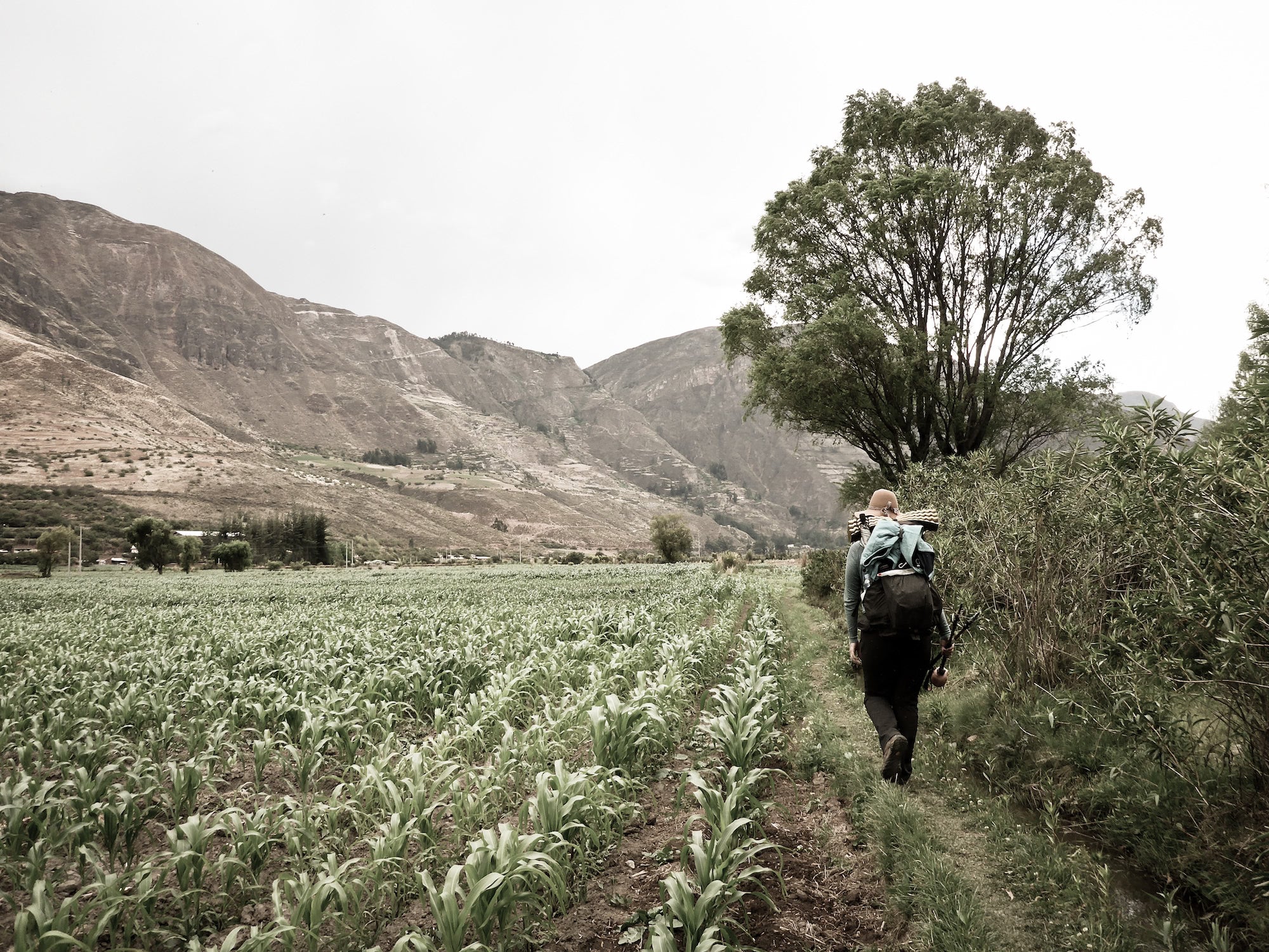 Ultralight backpacker hiking adjacent to a Peruvian farm