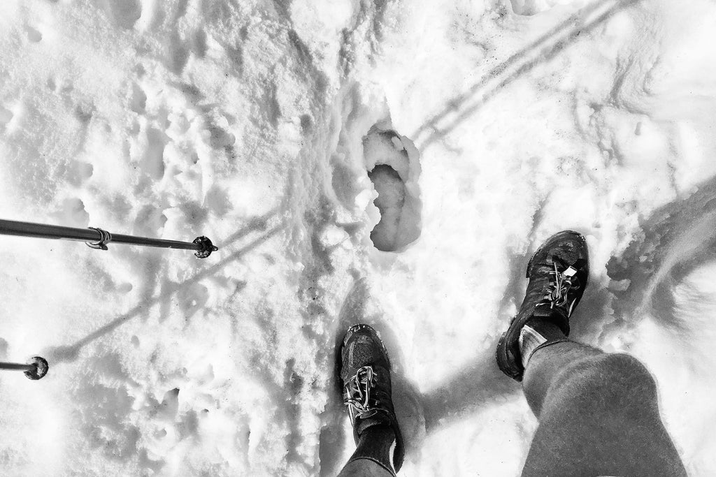 Bootprint in the Snow