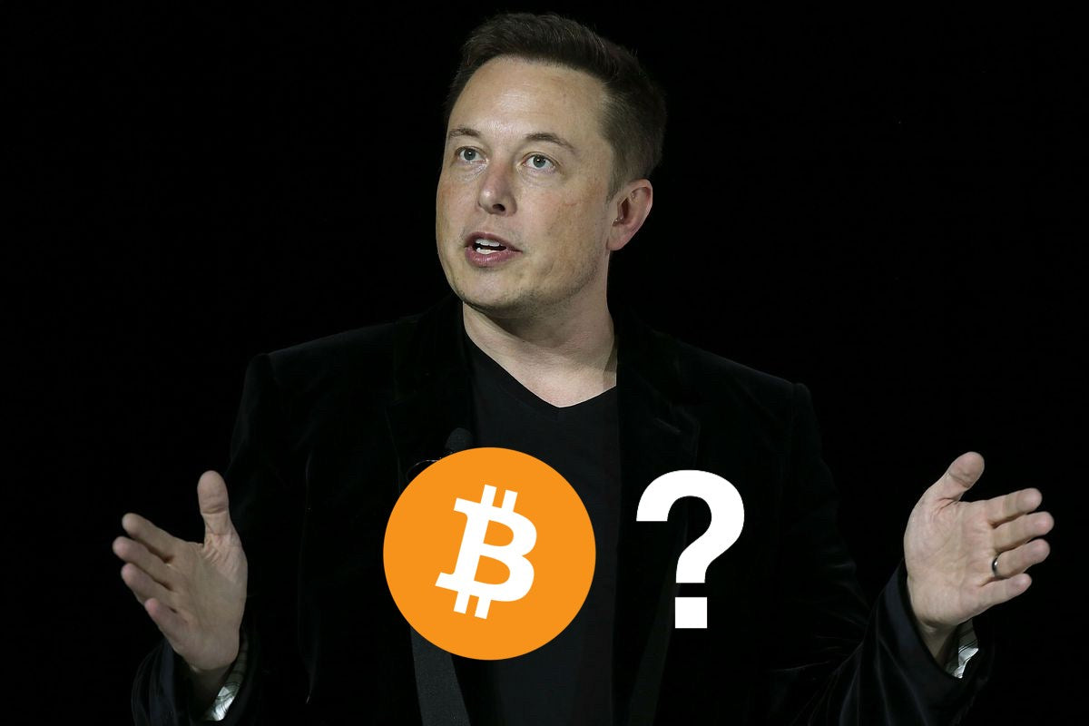 what crypto wallet does elon musk use