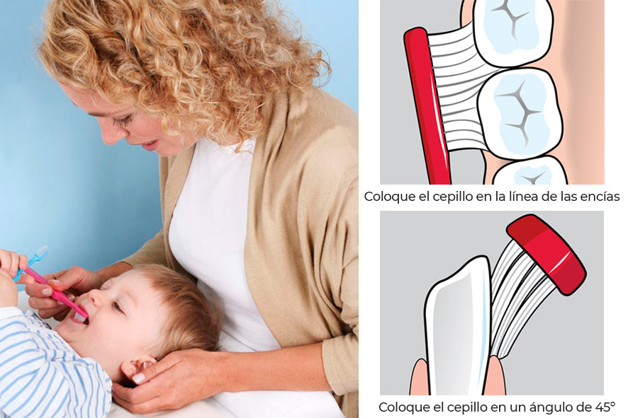 Cepillado infantil hábito diario - CCS Dental