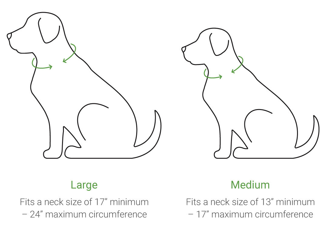 SpotOn requirements: Collar sizing