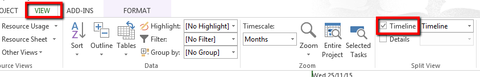 Viewing the Project Timeline