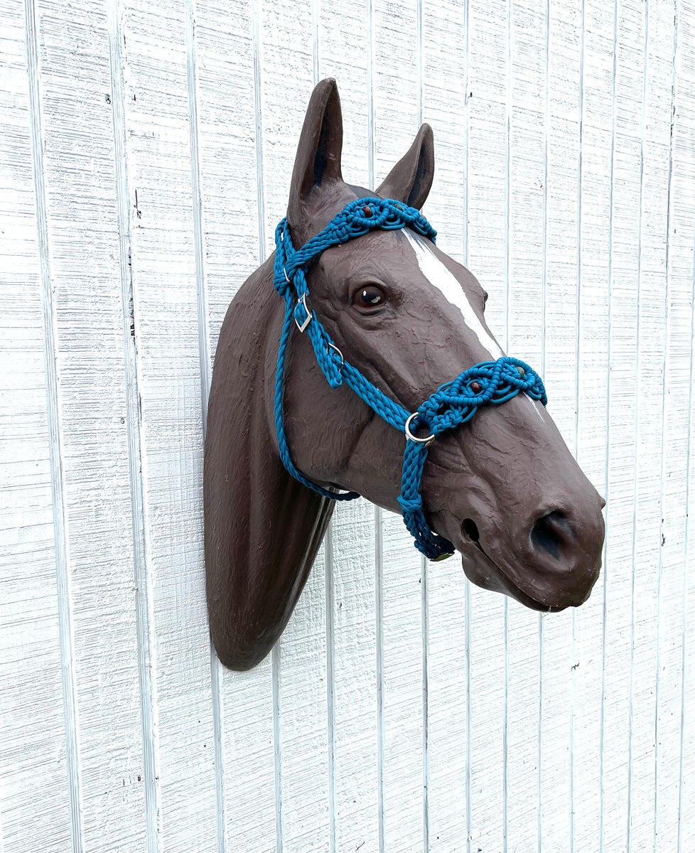 blue bitless side pull hackamore attachment with a whoa royal blue 