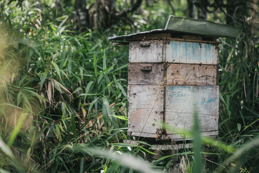 bee seasonal organic bee hive