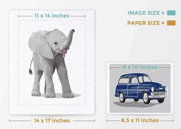 Diagram of Paper Llamas print and paper size information.