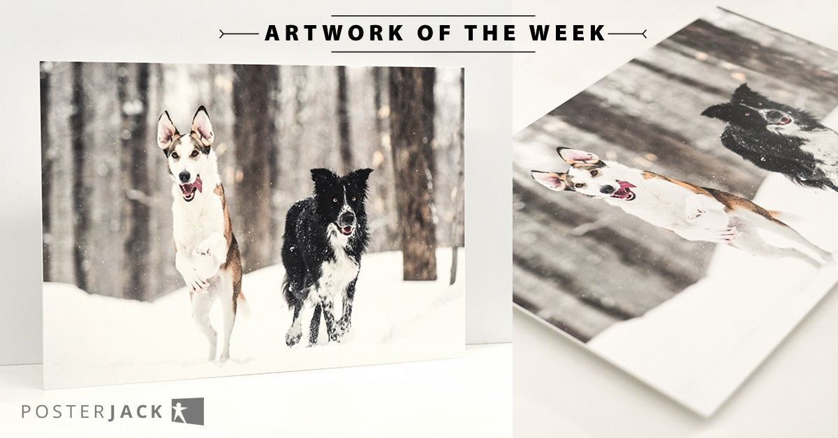 Custom Pet Print of Dogs Running Outdoors in Snow