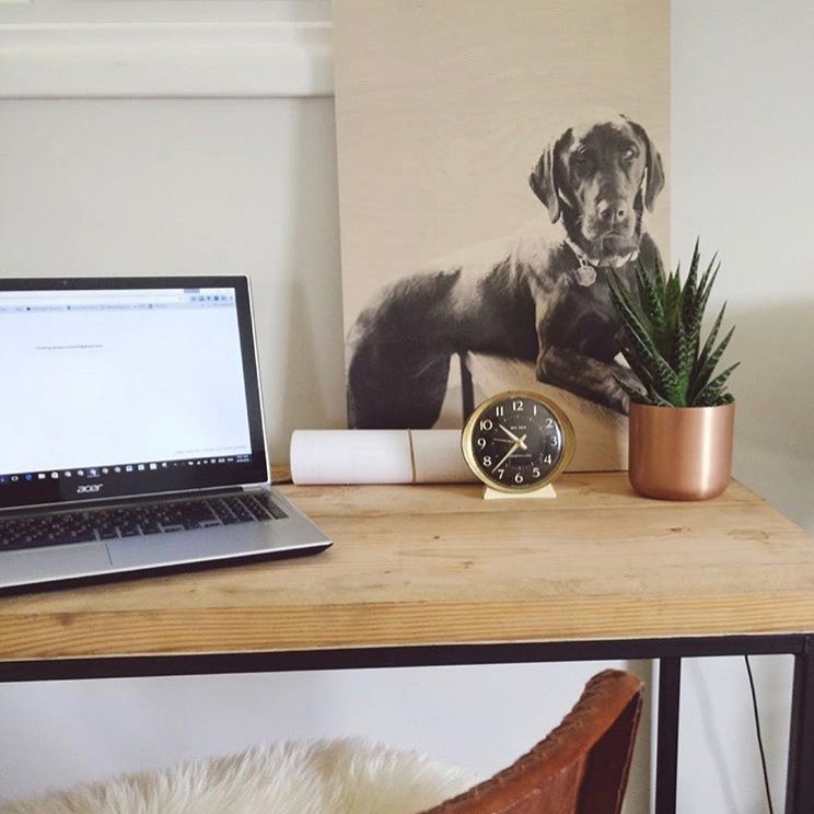 Wood Print of Dog Photo Displayed in Office Space