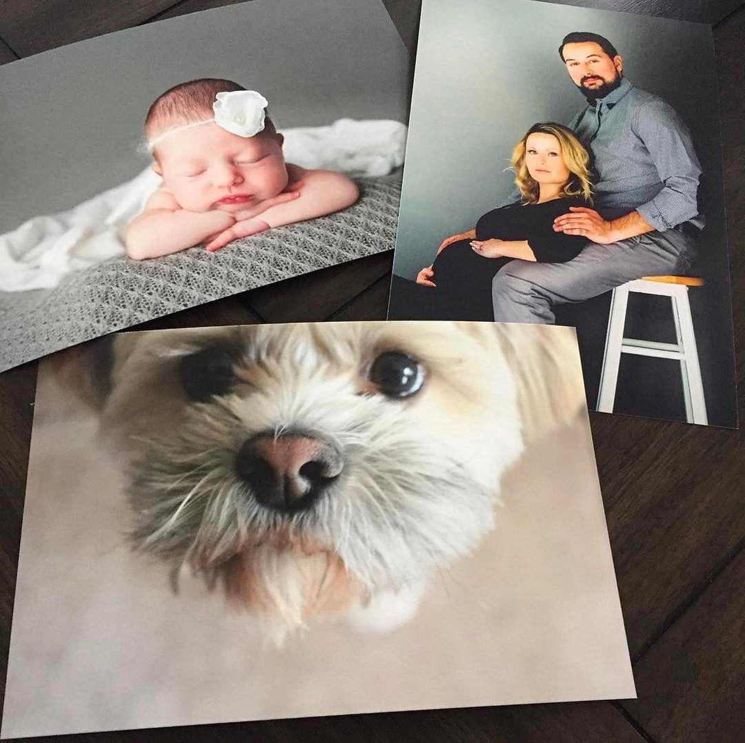 Posterjack Fine Art Prints of Family and Pet Photos