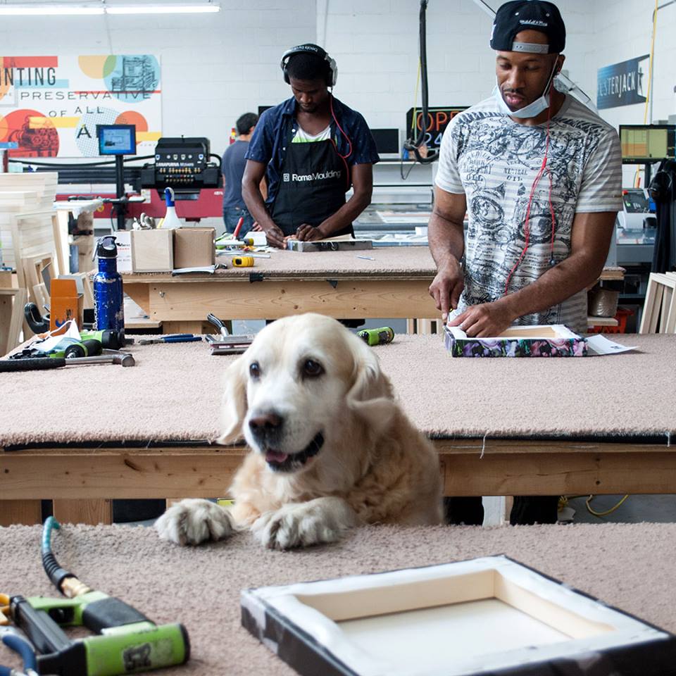 Photo of Ginger Dog in Posterjack Workshop