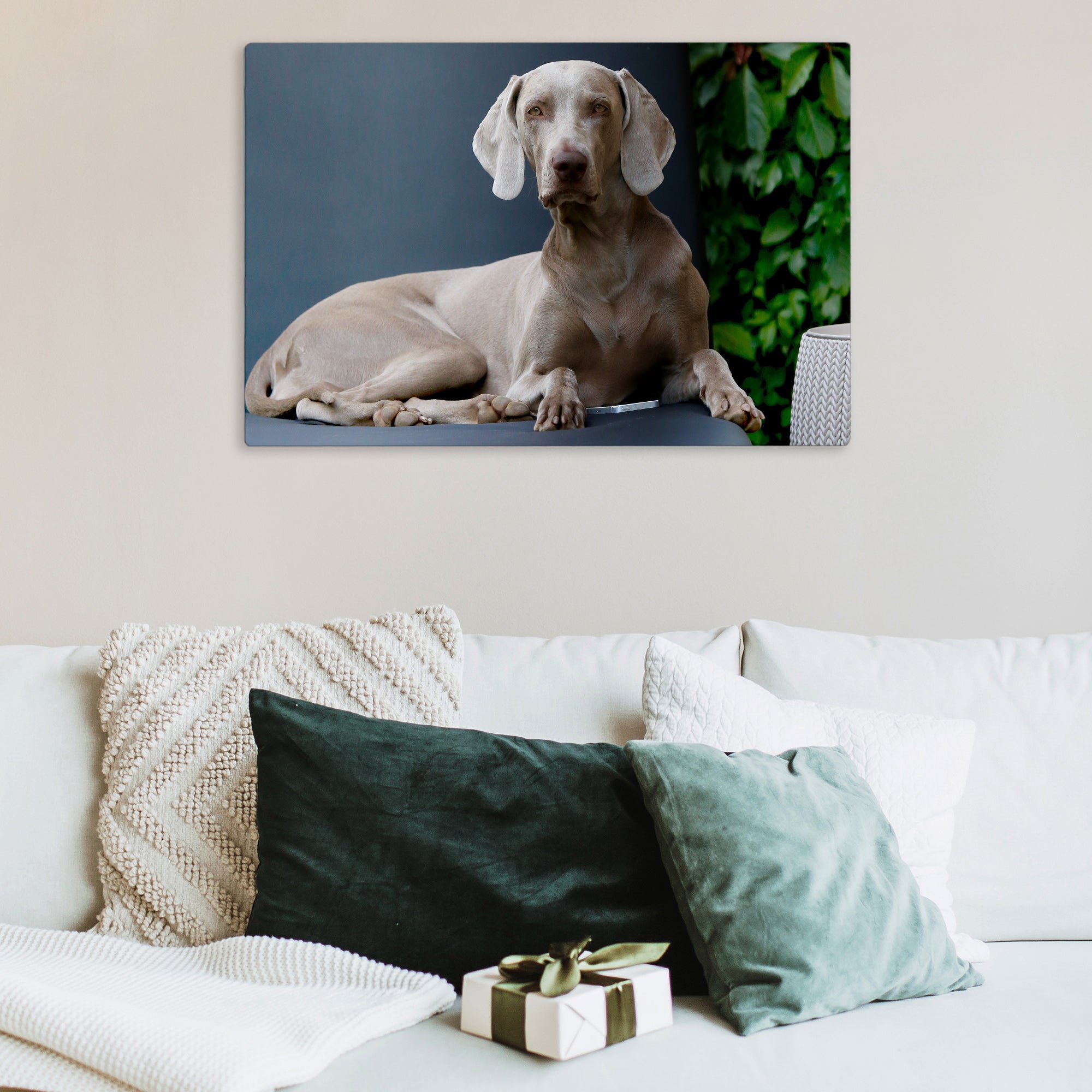 Posterjack HD Metal Print Photo of Dog