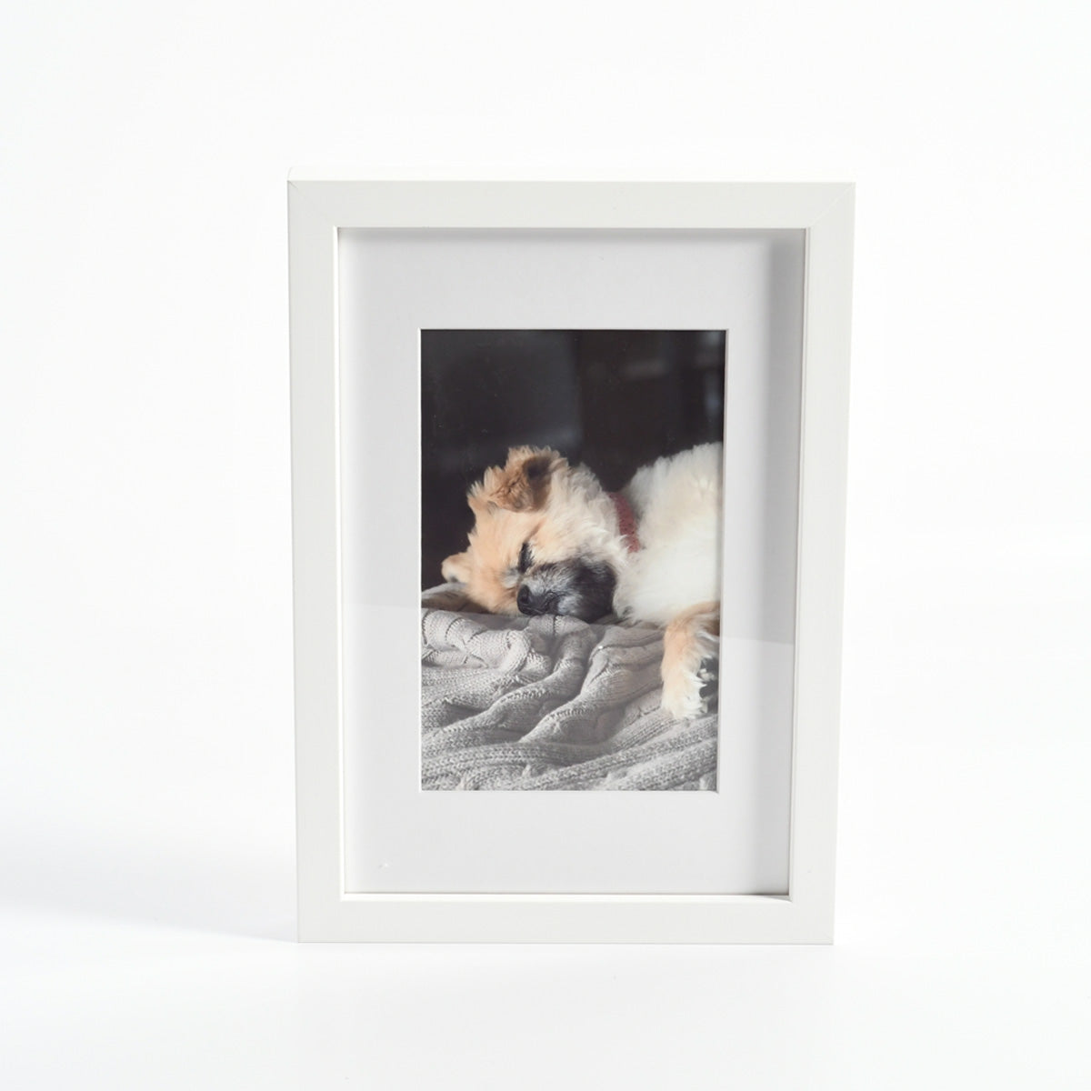 Photo of a Sleeping Dog in a Custom Framed Print
