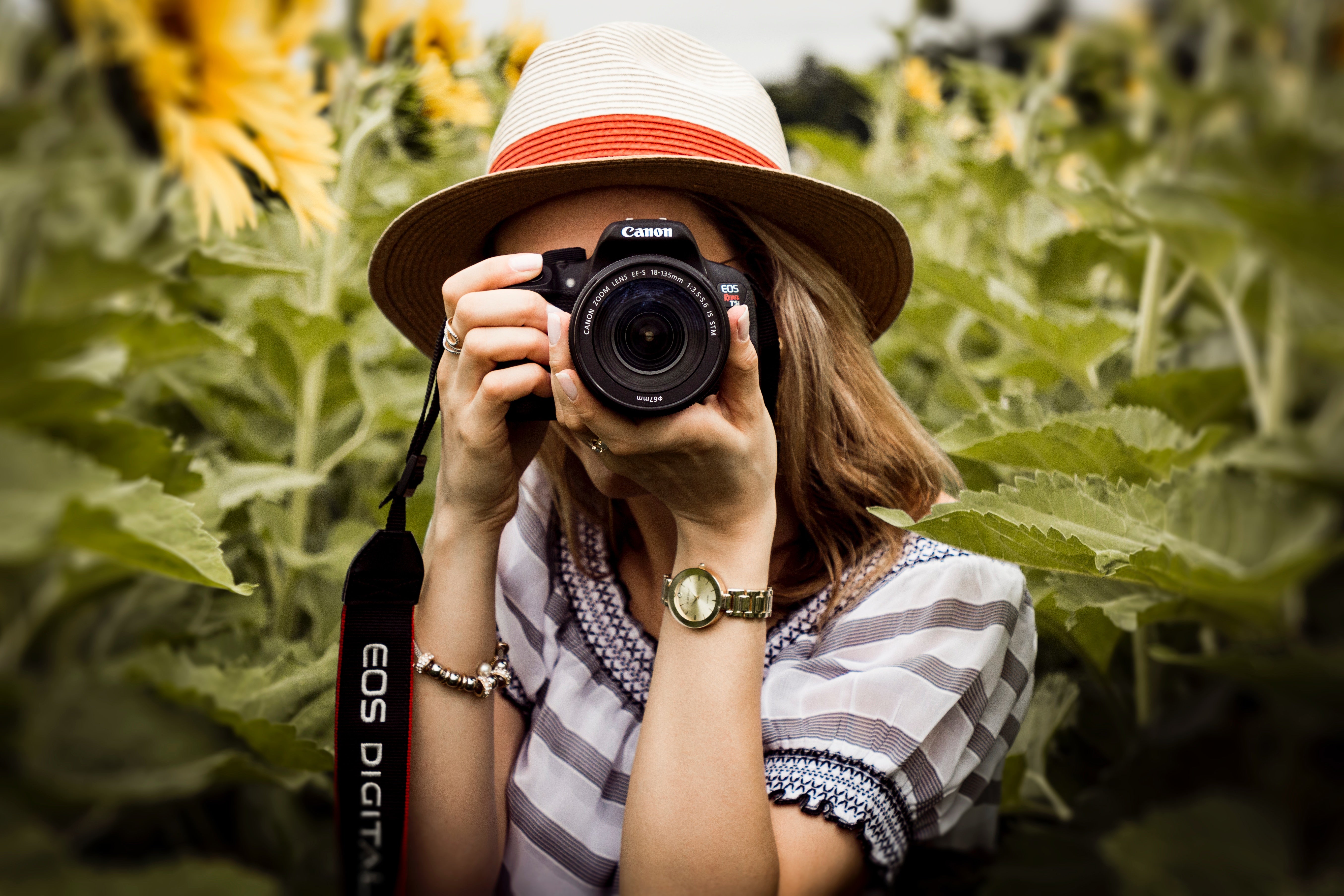 Woman Standing in Field of Sunflowers Taking Pictures