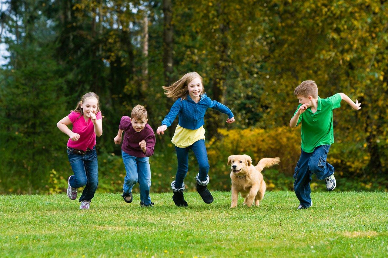 Action photo of children and dog running through a grassy field - understanding your camera's scene modes