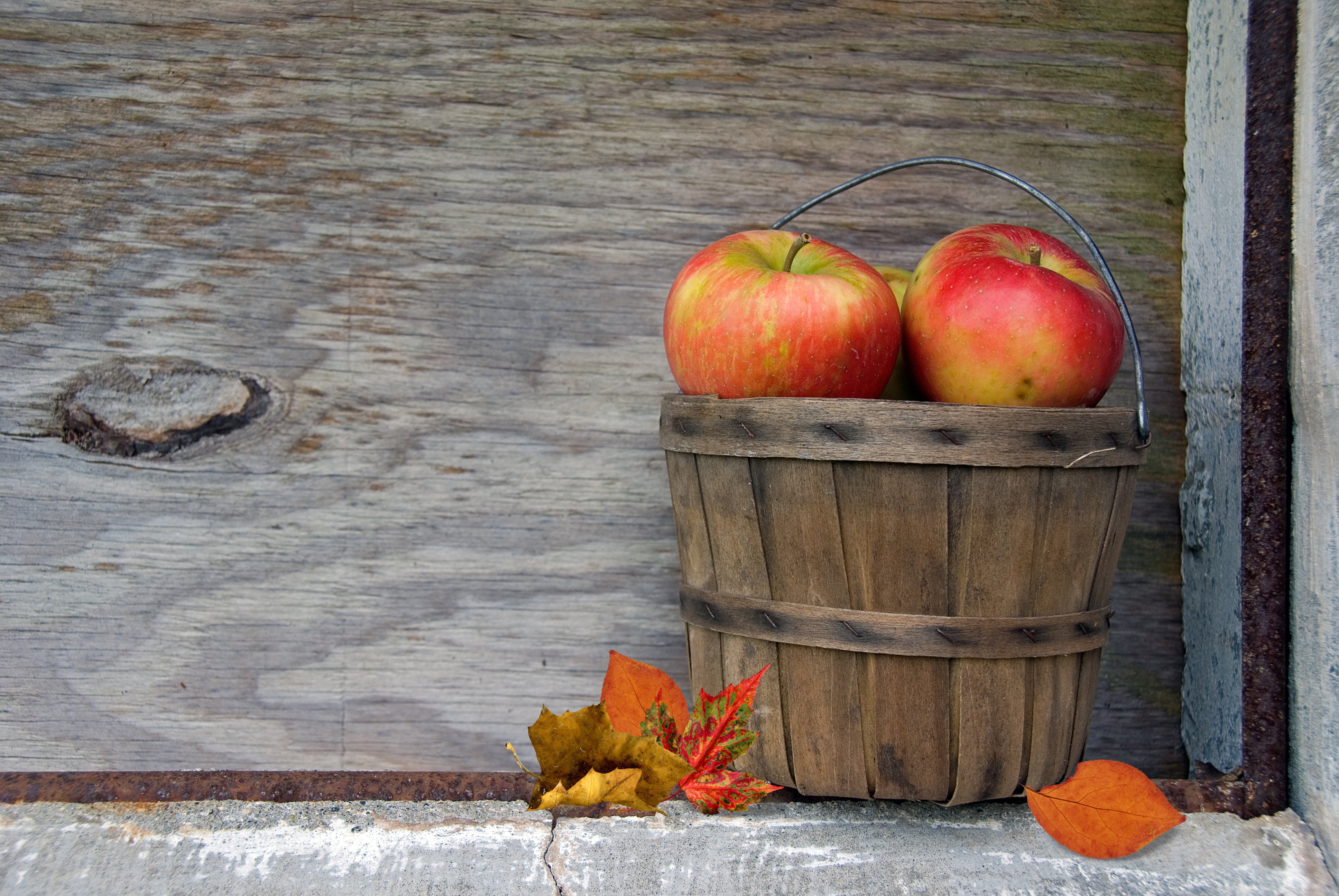 Barrel of apples