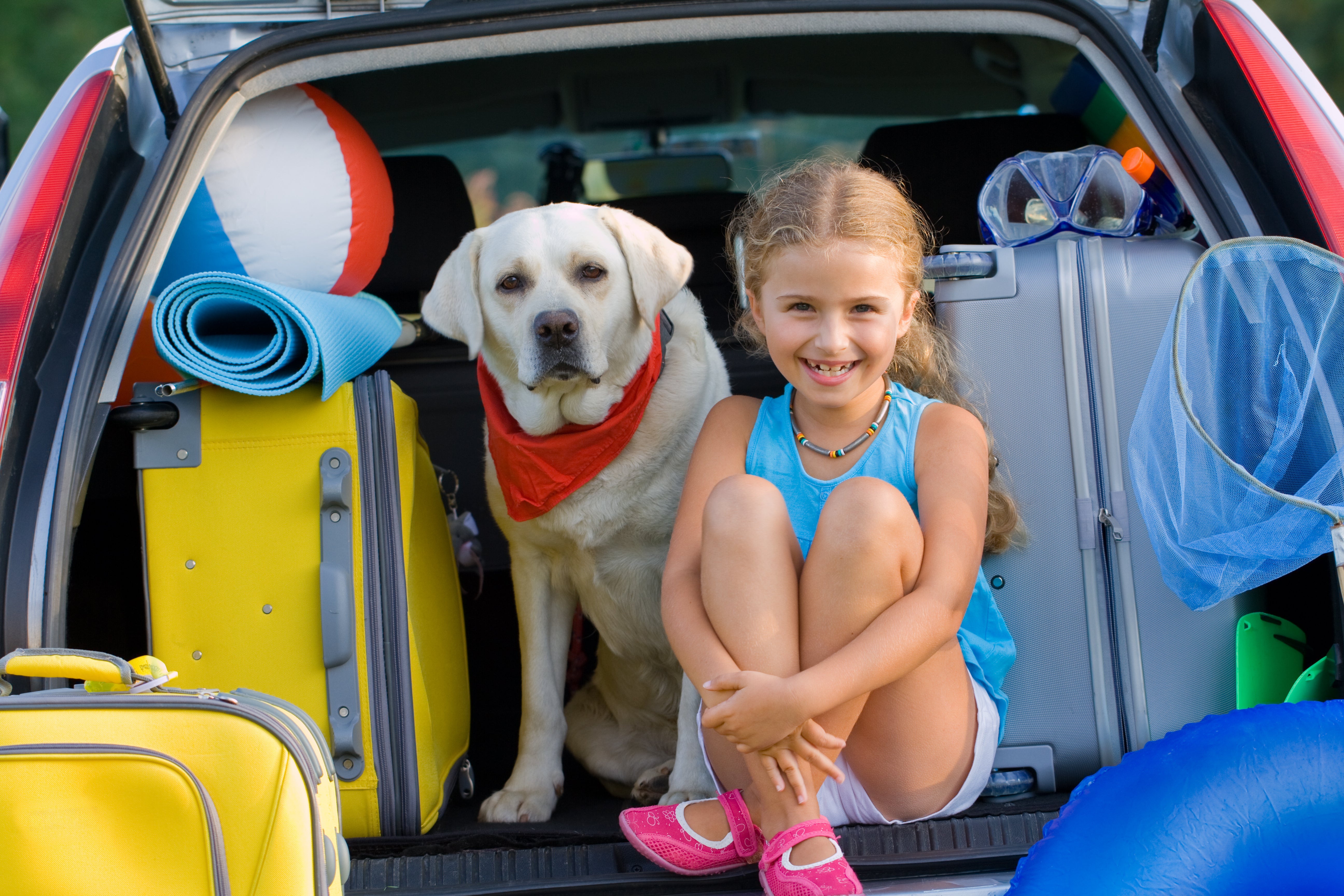 Little girl and dog ready to go on a road trip