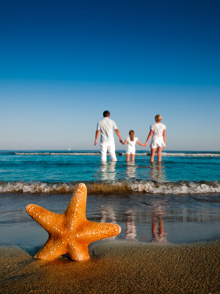 Bright orange starfish in sand with family walking into the ocean