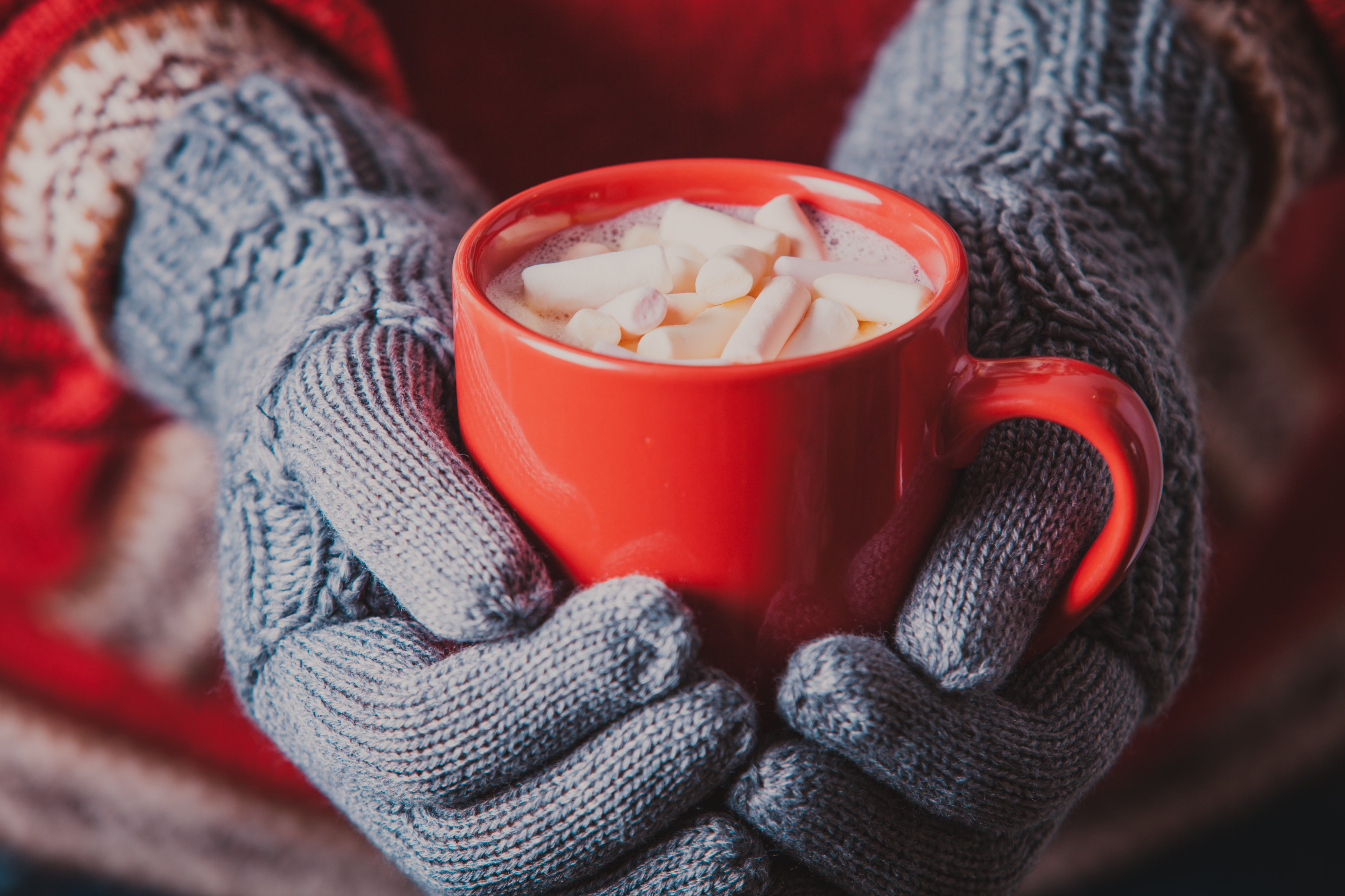 Close-up holiday photo of warm, fuzzy gloves holding a mug of hot chocolate