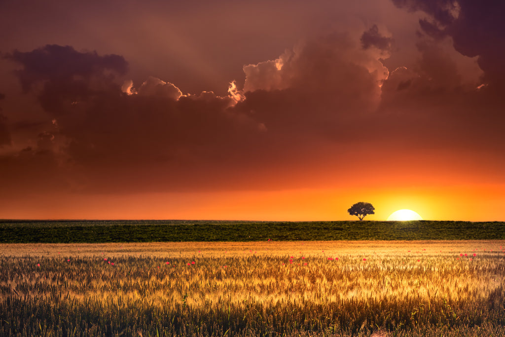 Sunset landscape photo composed with straight horizon 