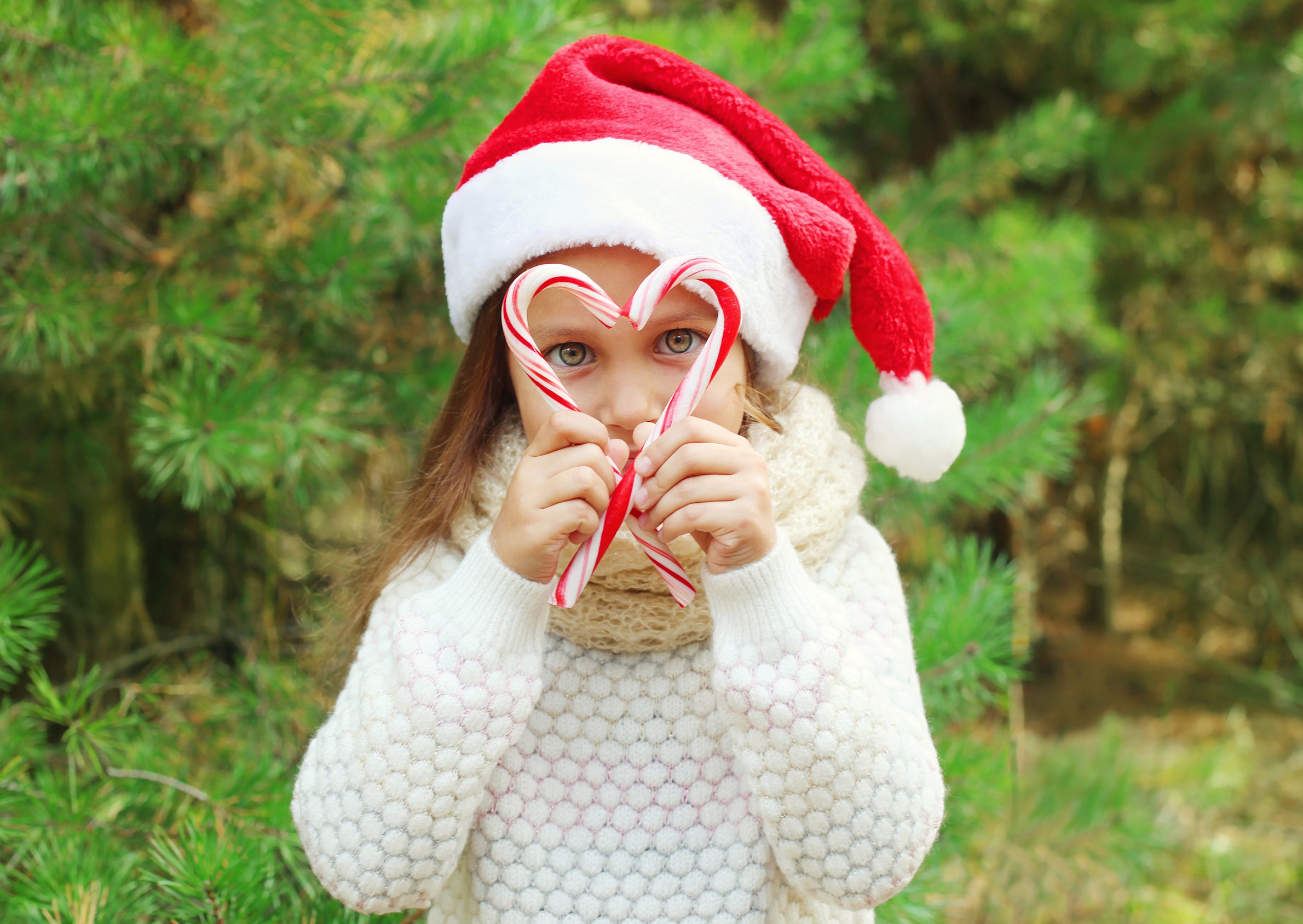 Holiday photo of a little girl holding candy canes and wearing a Santa hat outdoors