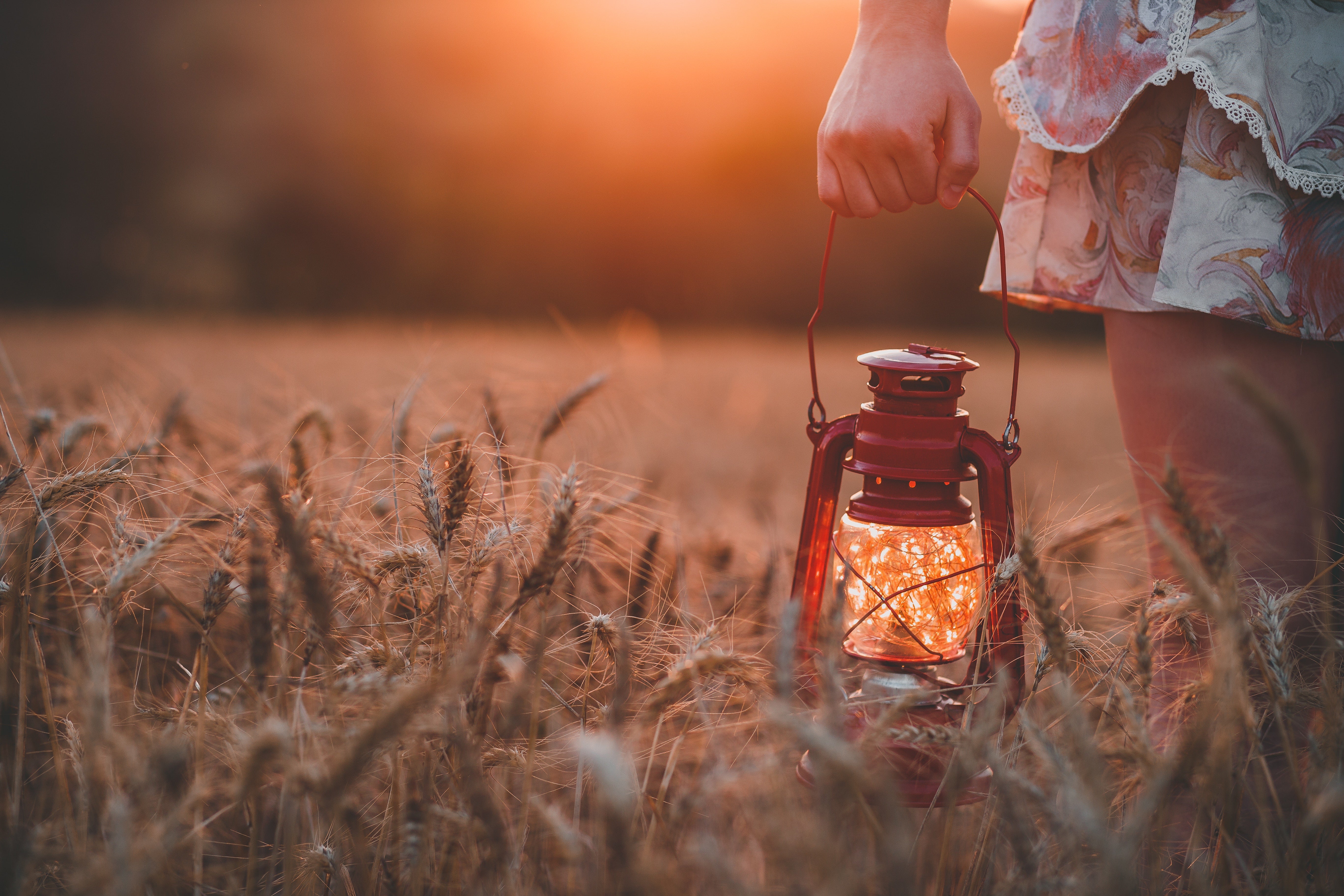 Girl holding a lantern in a field of wheat at sunset