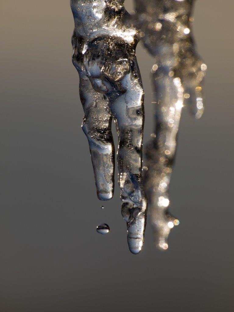 Close-up holiday photo of melting icicles