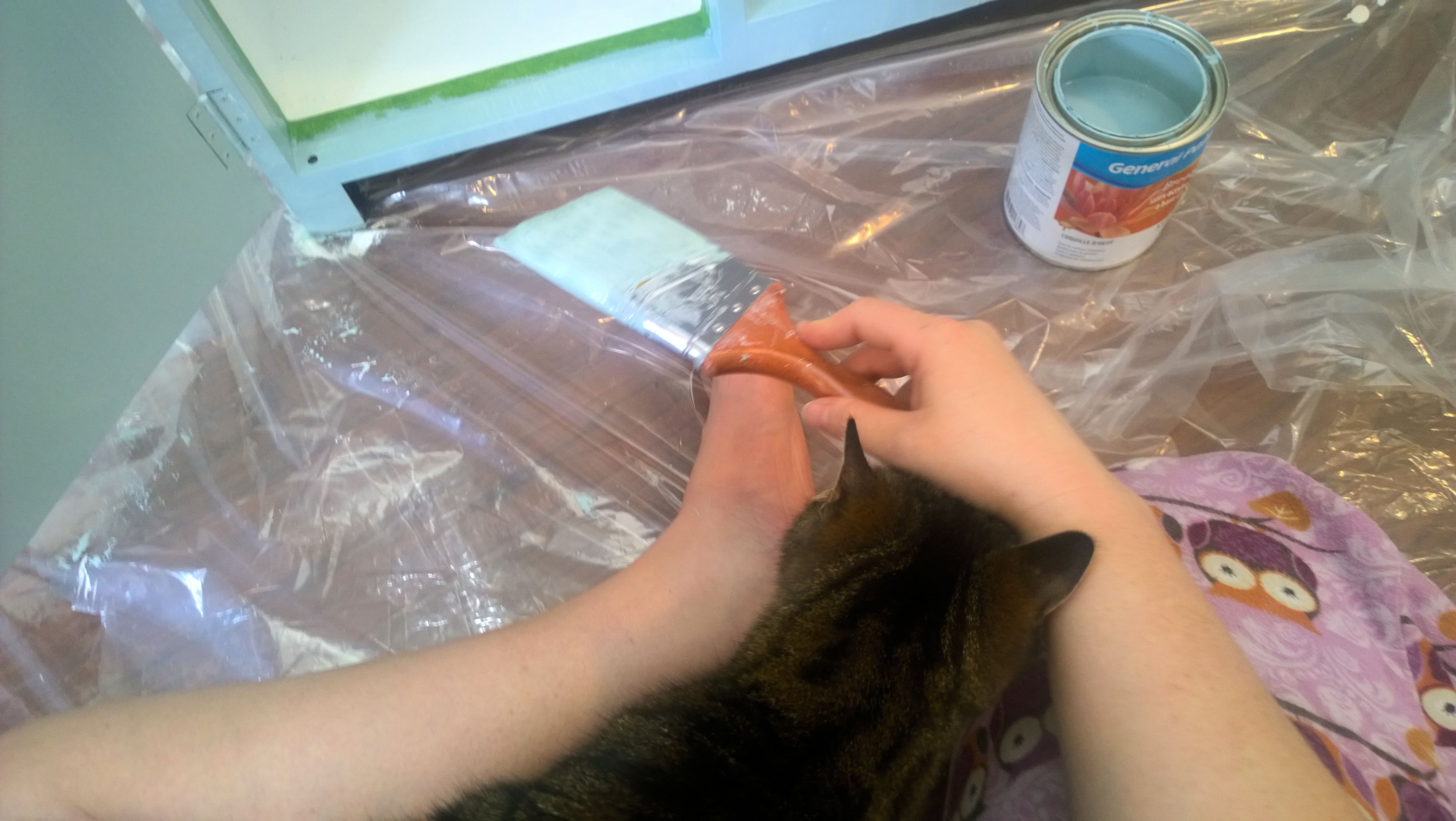 Room makeover photo - trying to paint furniture with a cat is nearly impossible