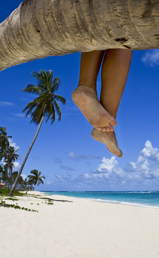Beach photo of sandy legs and feet from person sitting on a tree branch