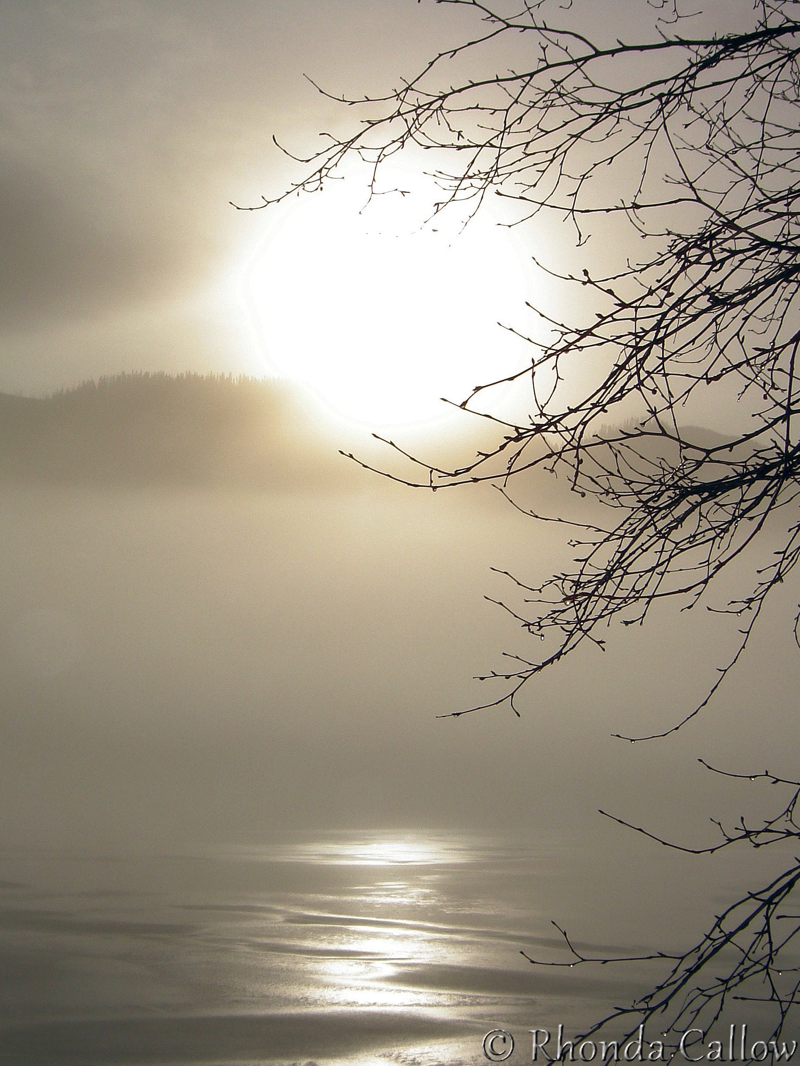 Winter sunset over frozen Canadian lake framed by tree branches 