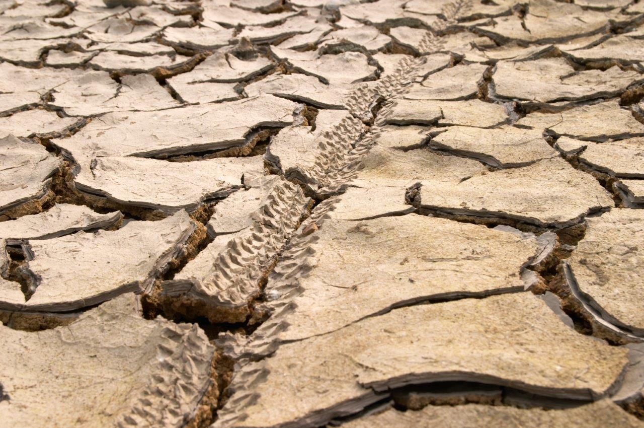 Tire tracks in dried, cracked mud - example of how to photograph texture