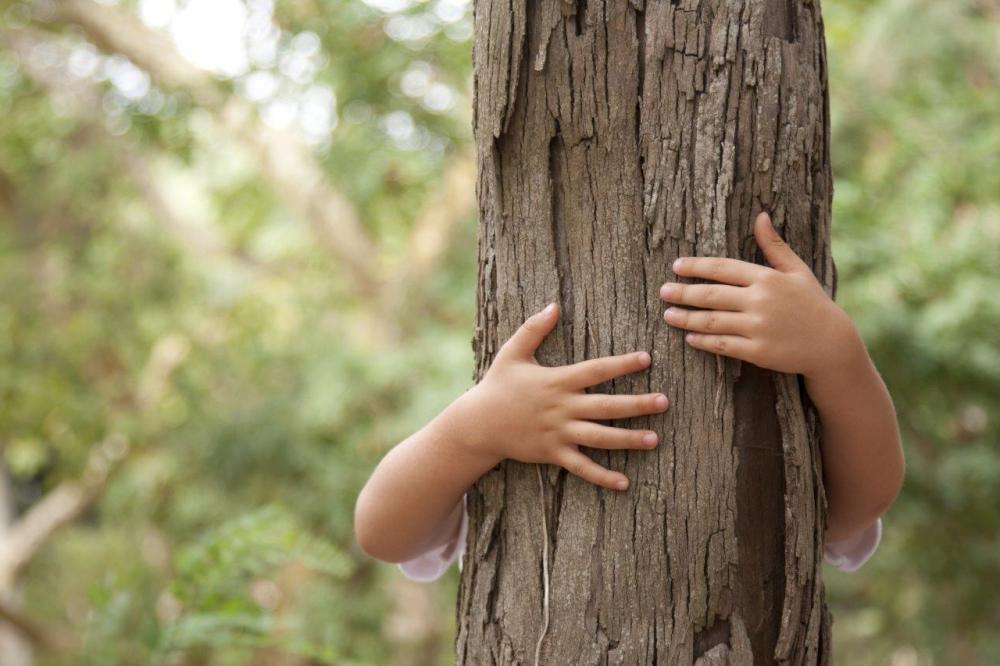 Young child hugging a tree in the forest - example of vertical leading lines in photoggraphy