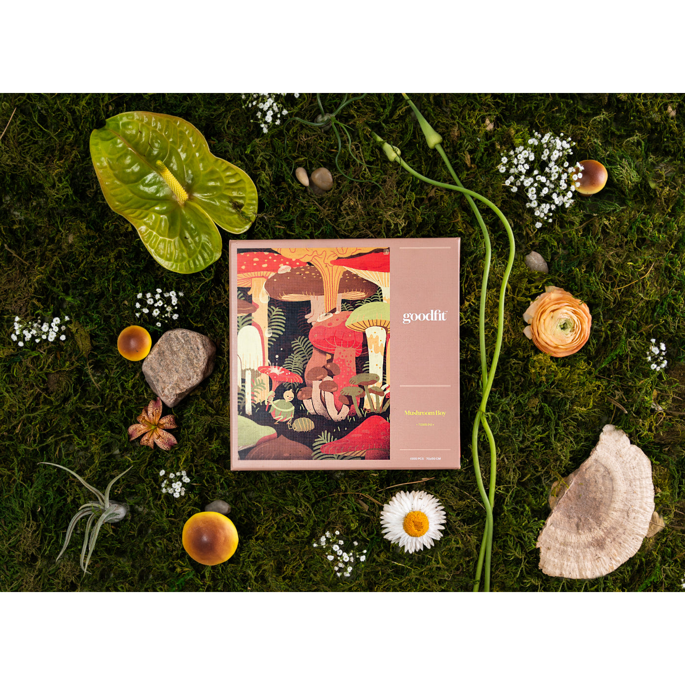 Mushroom Boy Puzzle