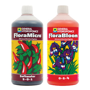 lucas method with GHE flora micro flora bloom 