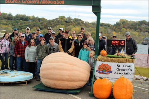 St. Croix Growers Association, giant pumpkin seeds, Stillwater HarvestFest