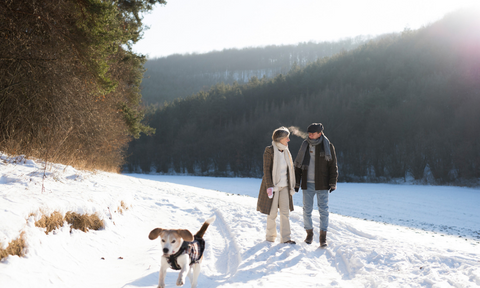 Soak in mother nature, two people walking in the snow with dog
