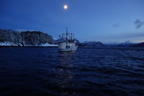 Beautiful 42 foot wooden boat uses 5 Watt 32 Volt DC LEDs